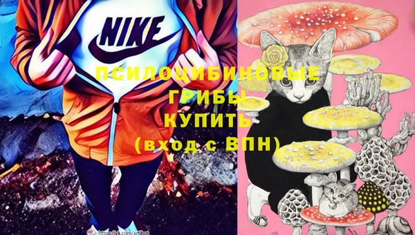 MDMA Premium VHQ Аркадак